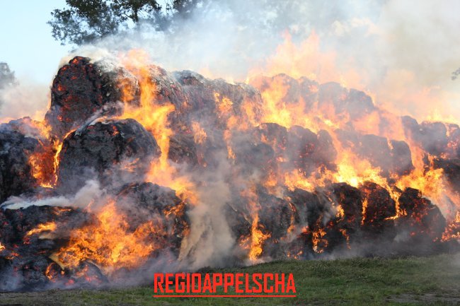 Regio Appelscha